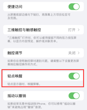 霍城苹果授权维修站分享iPhone轻点无法唤醒怎么办 