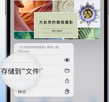 霍城apple维修中心分享iPhone文件应用中存储和找到下载文件