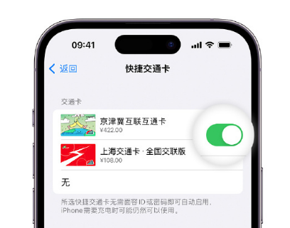 霍城apple维修点分享iPhone上更换Apple Pay快捷交通卡手绘卡面 