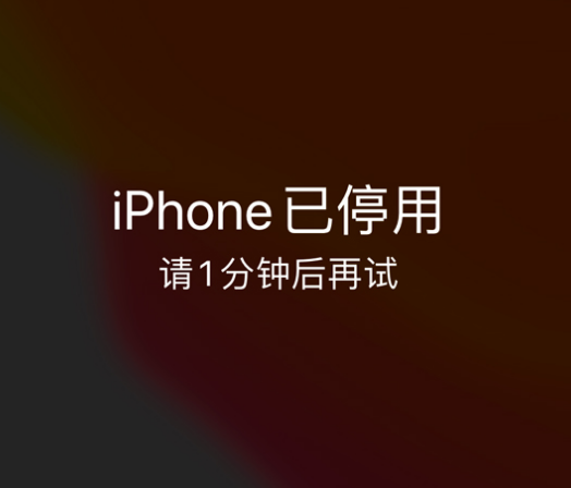 霍城苹果手机维修分享:iPhone 显示“不可用”或“已停用”怎么办？还能保留数据吗？ 