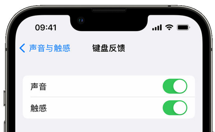 霍城苹果手机维修分享iPhone 14触感键盘使用方法 