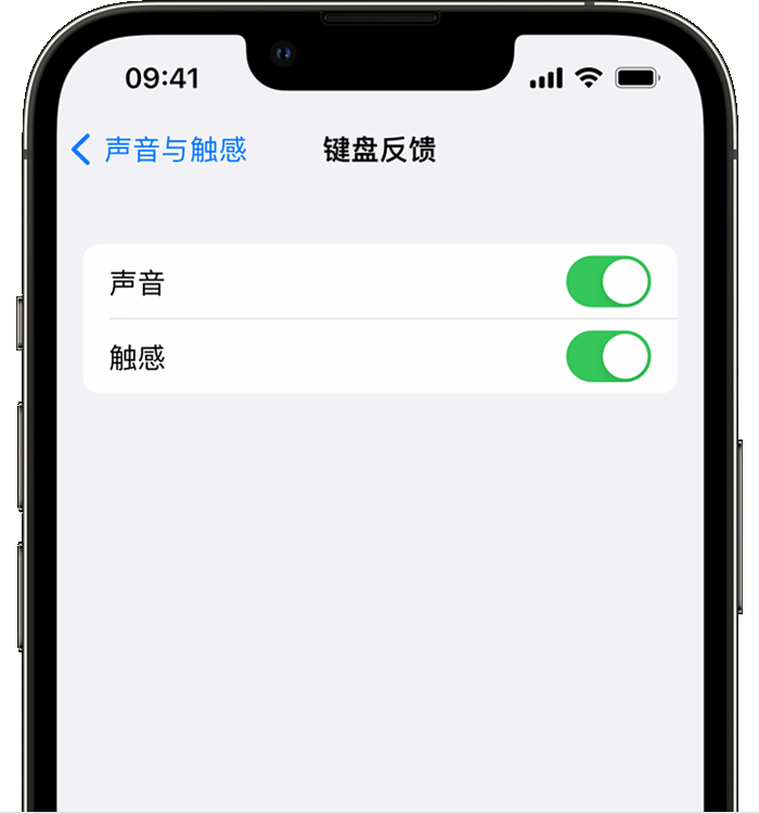 霍城苹果14维修店分享如何在 iPhone 14 机型中使用触感键盘 