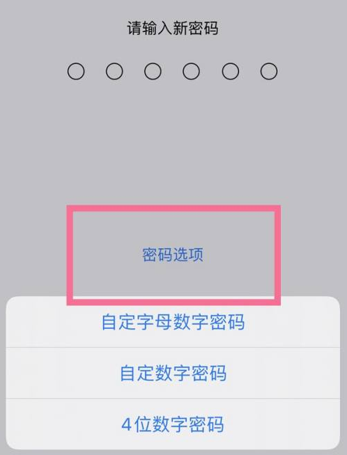 霍城苹果14维修分享iPhone 14plus设置密码的方法 