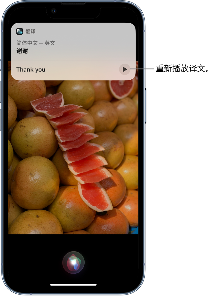 霍城苹果14维修分享 iPhone 14 机型中使用 Siri：了解 Siri 能帮你做什么 