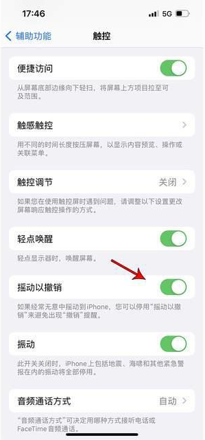 霍城苹果手机维修分享iPhone手机如何设置摇一摇删除文字 