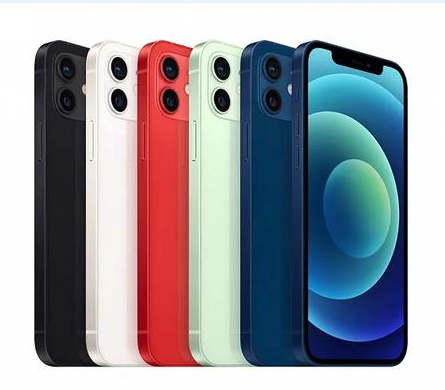 霍城苹果维修点分享iPhone 12 Pro Max黑屏冷门故障解读 