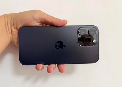 霍城苹果维修点分享iPhone 14 Pro Max黑屏少见故障盘点 